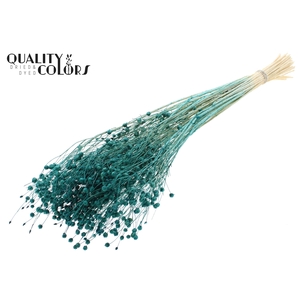 Lino Vlas per bunch in poly Intense Turquoise