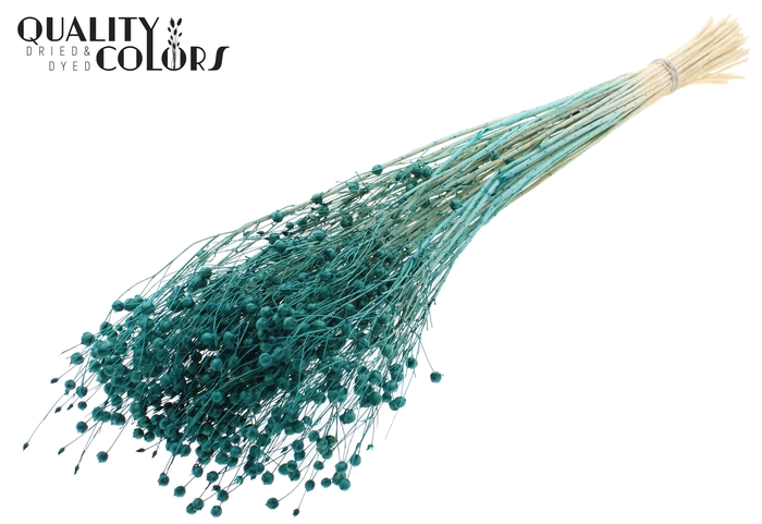 <h4>Lino Vlas per bunch in poly Intense Turquoise</h4>