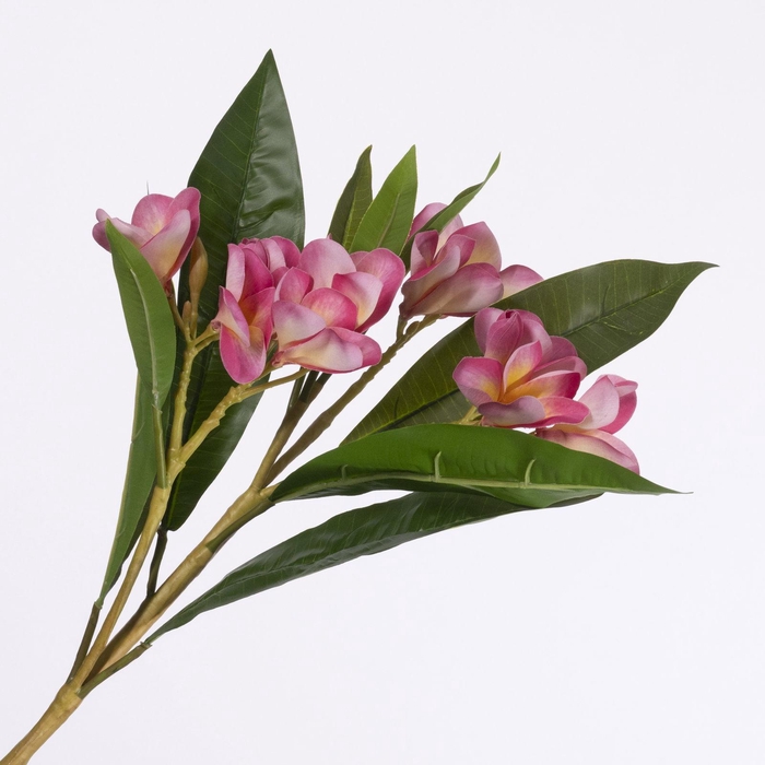 <h4>Frangipani Spray Pink FL440284PNK</h4>