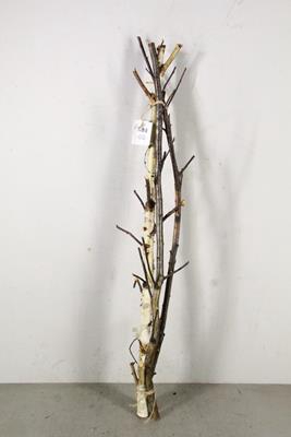 <h4>Birch Stem Branched 100cm(3pc)</h4>