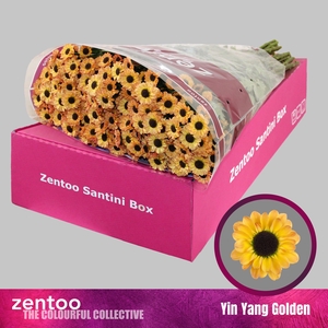 CHR S YIN YANG GOLDEN