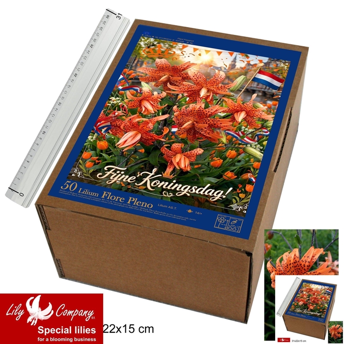 <h4>BLOEMBOL OV</h4>