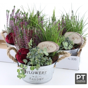 ARR TUINPLANTEN