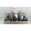 Arr.   Planten H%