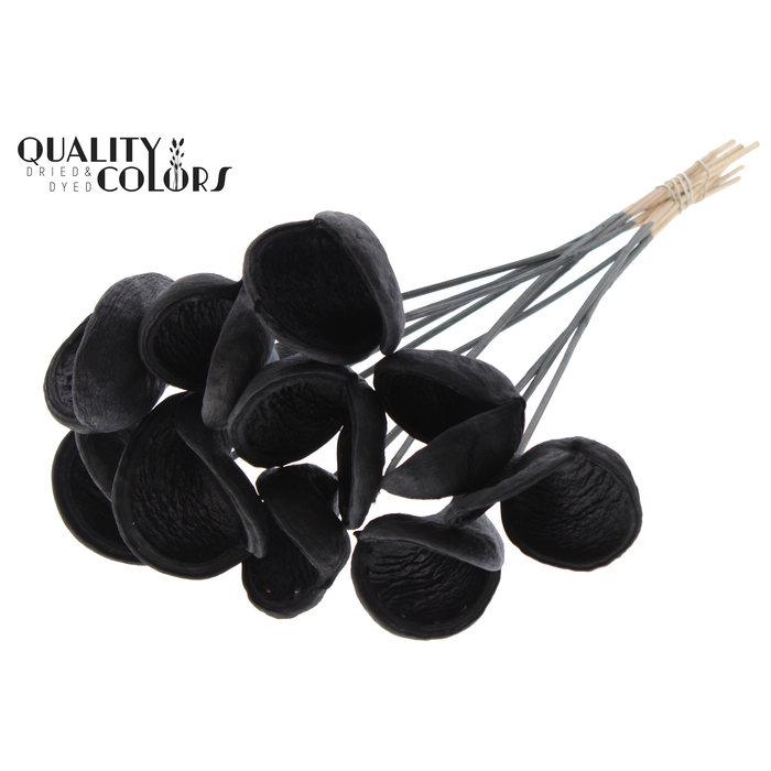 <h4>Badam on stem Black</h4>