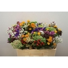 Gem Zomerboeket Xtra