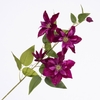 Clematis Spray Burgundy FL440354BUR