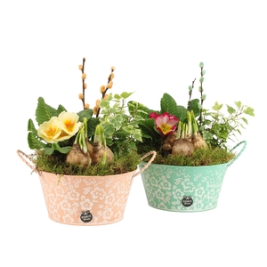 11646: Outdoor spring arrangement