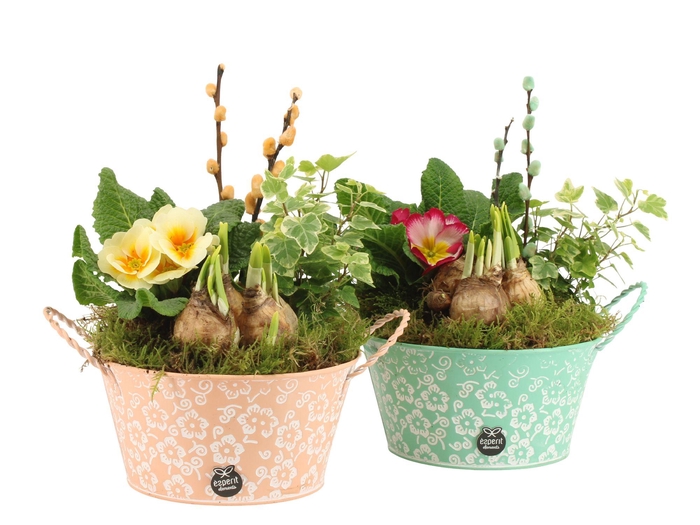 <h4>11646: Outdoor spring arrangement</h4>