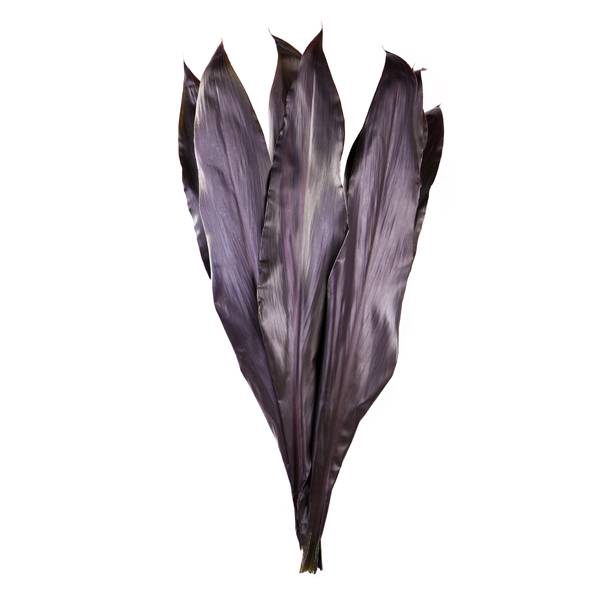CORDELINE BLACK TIE 80 CM VAC