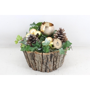 arr2 PL - Schors pot hedera Goud 1bolwax