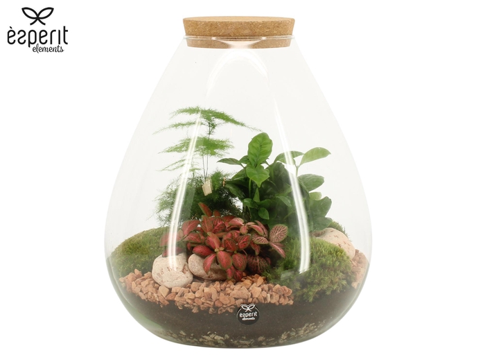 <h4>90806: Terrarium arrangement</h4>