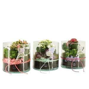 21939: Contradiction arrangement