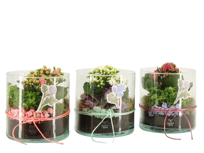 <h4>21939: Contradiction arrangement</h4>