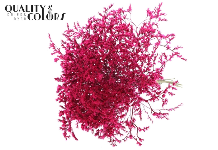 <h4>Droogbloemen   ...bewerkt H%</h4>