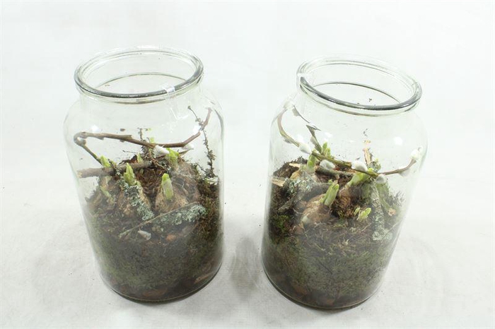 <h4>NA26 VAAS HOOG TETE</h4>