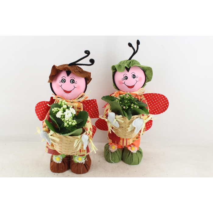 <h4>Arr2 Td - Lieveheersbeestje - Roze/wit</h4>
