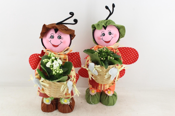 <h4>arr2 TD - Lieveheersbeestje - roze/wit</h4>