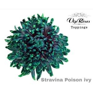Chr G Stravina Poison Ivy