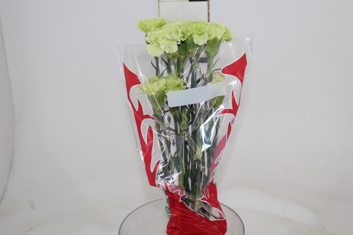 <h4>CRAVO GOBLIN 060 CM</h4>