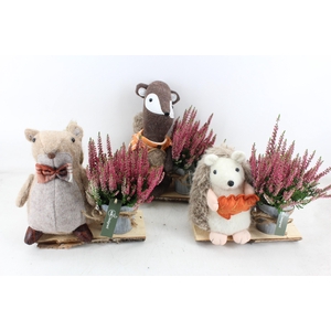 arr4 Outdoor MB - Autumn animal mix calluna