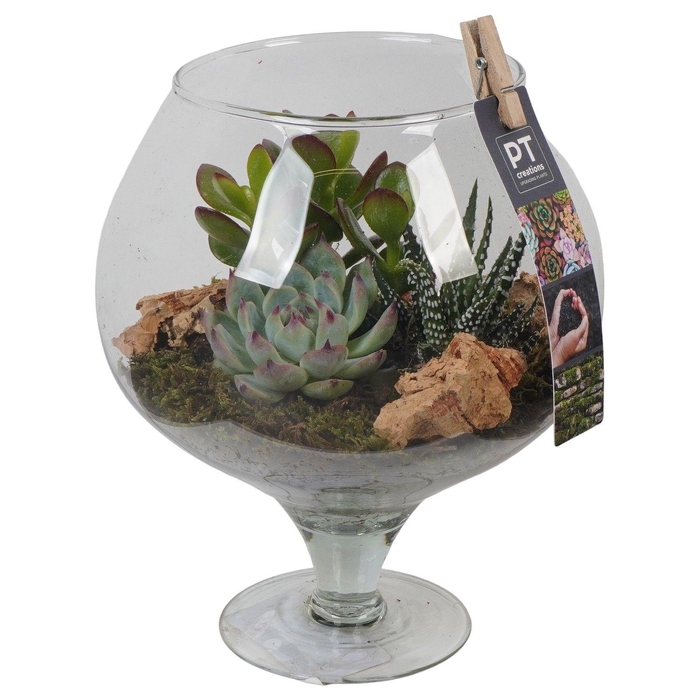 <h4>PTGIG2132 Arrangement Greens in glass in cognacglas</h4>