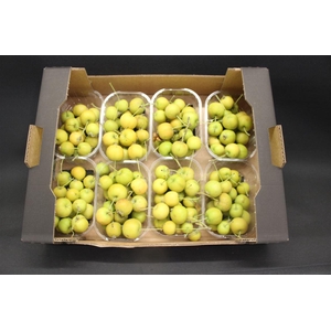 F Appel Malus Geel- Groen X8