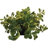 BALSAMO C21 PENDENTE