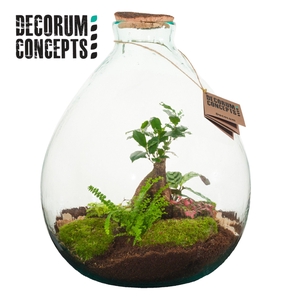 Terrarium Galaxy medium (Decorum concepts)