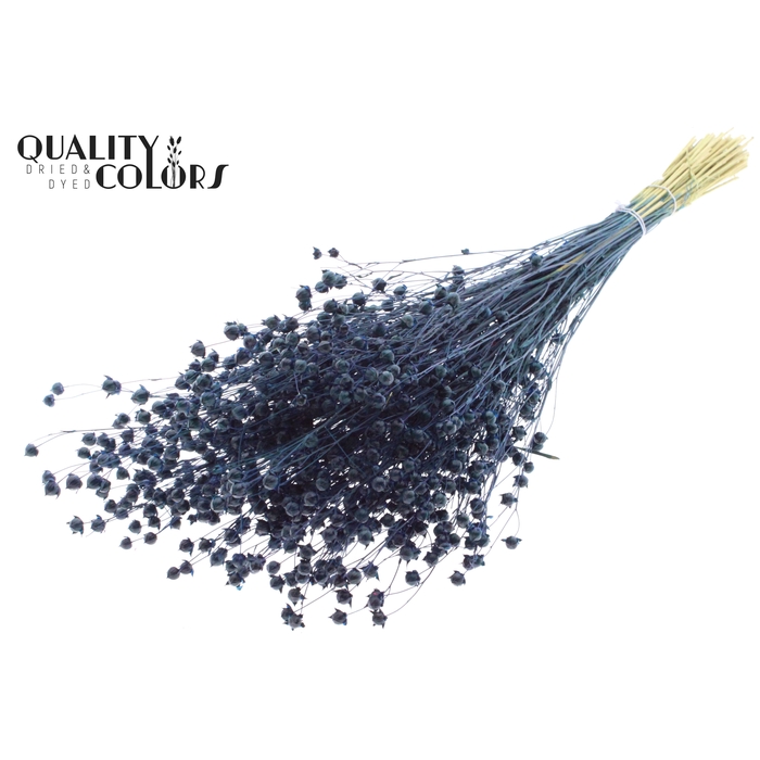 <h4>Lino Vlas p/bunch in poly Dark Blue</h4>