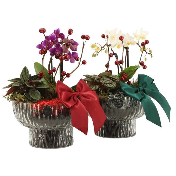 <h4>61804: X-mas arrangement</h4>