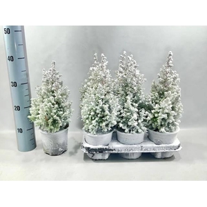 CHAM TH EXCELL POINT