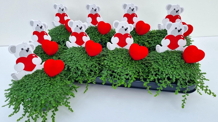 <h4>SOLEI SOL GROEN</h4>