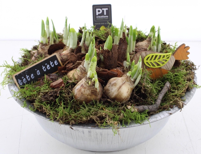 <h4>ARR N TETE A TETE</h4>