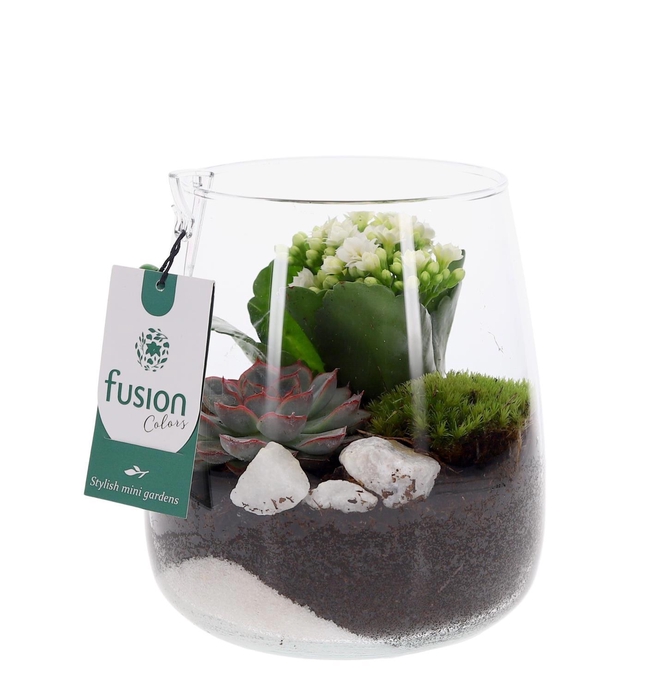 <h4>Glazen vaas met Kalanchoe en Succulent</h4>
