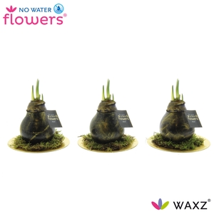 No Water Flowers® Antiquez Golden Dish