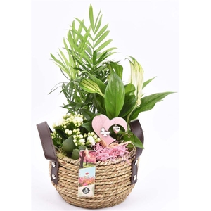 Natuur mand met hengsel 16cm