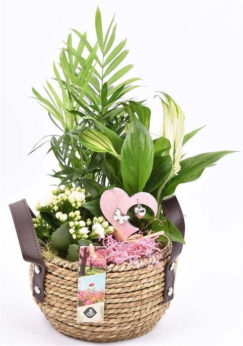 <h4>Natuur mand met hengsel 16cm</h4>