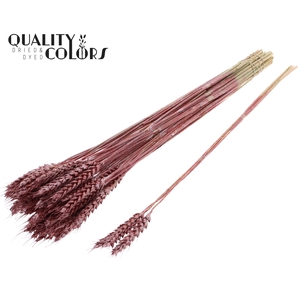 Triticum 3pc/Tuft Metallic Red
