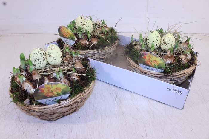 <h4>ARR N TETE A TETE</h4>