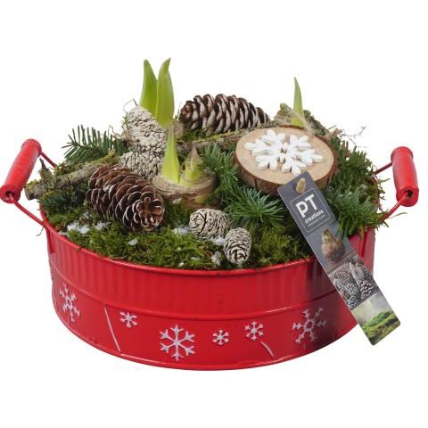 <h4>PTACH5871 Arrangementen Kerst</h4>
