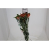 ALSTROEMERIA MOTION 080 CM LARANJA