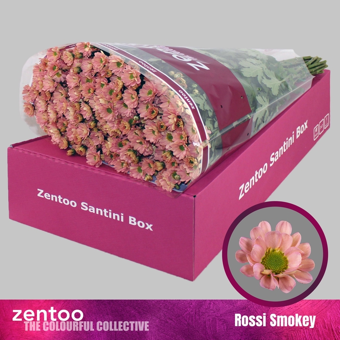 <h4>CHR S ROSSI SMOKEY</h4>