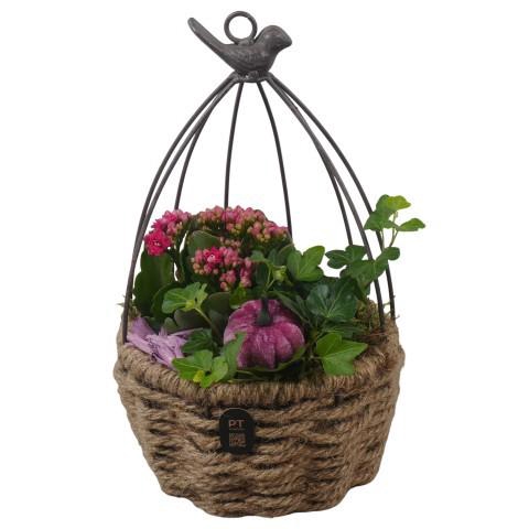 <h4>PTHI3351 Arrangement Autumn Indoor in touwmand met metaal</h4>