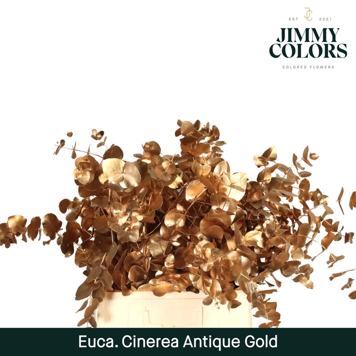 Cinerea per bos 200g Antiek goud