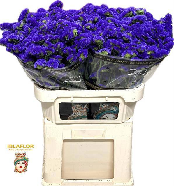 <h4>LIM S CRYST DARK BLU</h4>