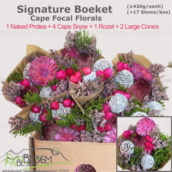 <h4>PROTEA PER BOS</h4>