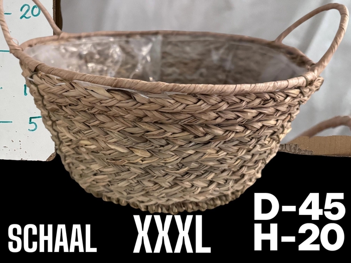 <h4>MANDWERK H%</h4>