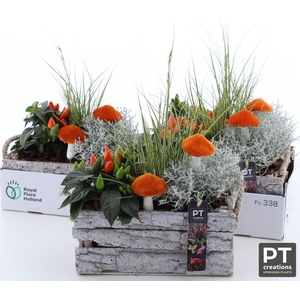 ARR TUINPLANTEN