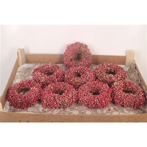 Krans Schinus 12cm X8